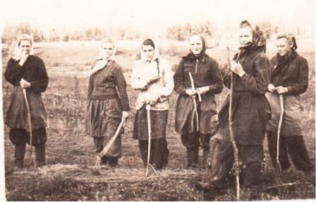 Изображения.
