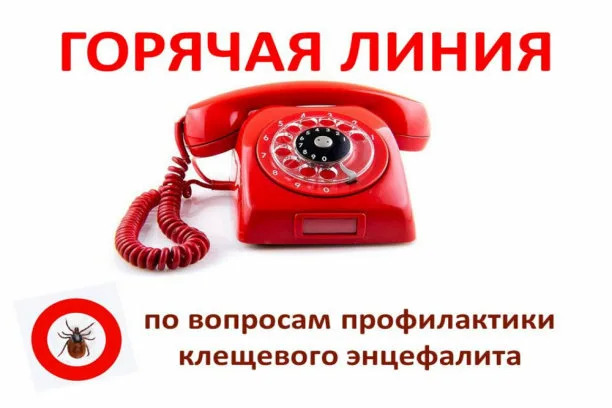 В период с 28 апреля по 11 мая 2025 года в Управлении Роспотребнадзора по Томской области (далее Управление) будет работать Всероссийская «горячая линия» по вопросам профилактики клещевого энцефалита..